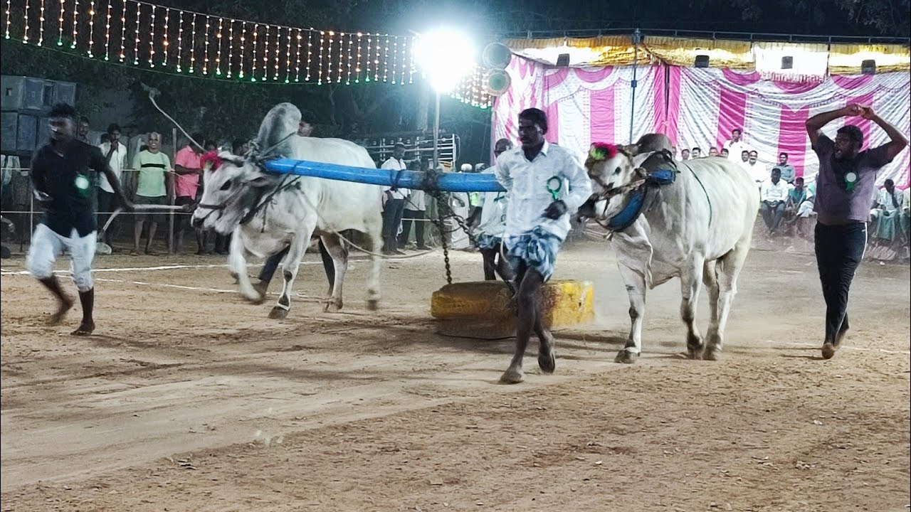 K.అగ్రహారం సేద్యపు విభాగంలో,2వ జత, ఖాజీపేట మండలం,కడప జిల్లా