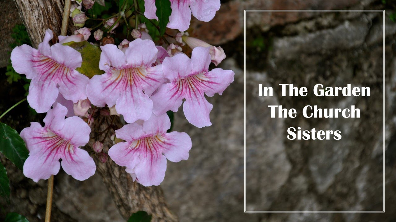 In the Garden - The Church Sisters (Lyrics)