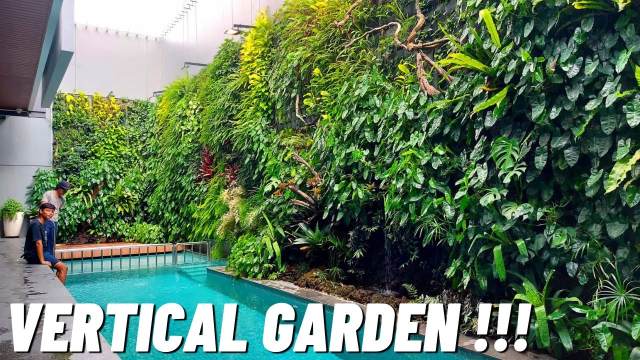 SULAP TEMBOK MENJADI INDAH !!! VERTICAL GARDEN