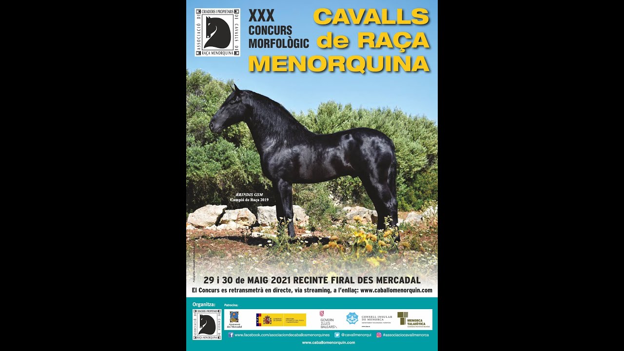 XXX Concurso Morfológico de Caballos de Raza Menorquina - (Mañana del 29.05.21)