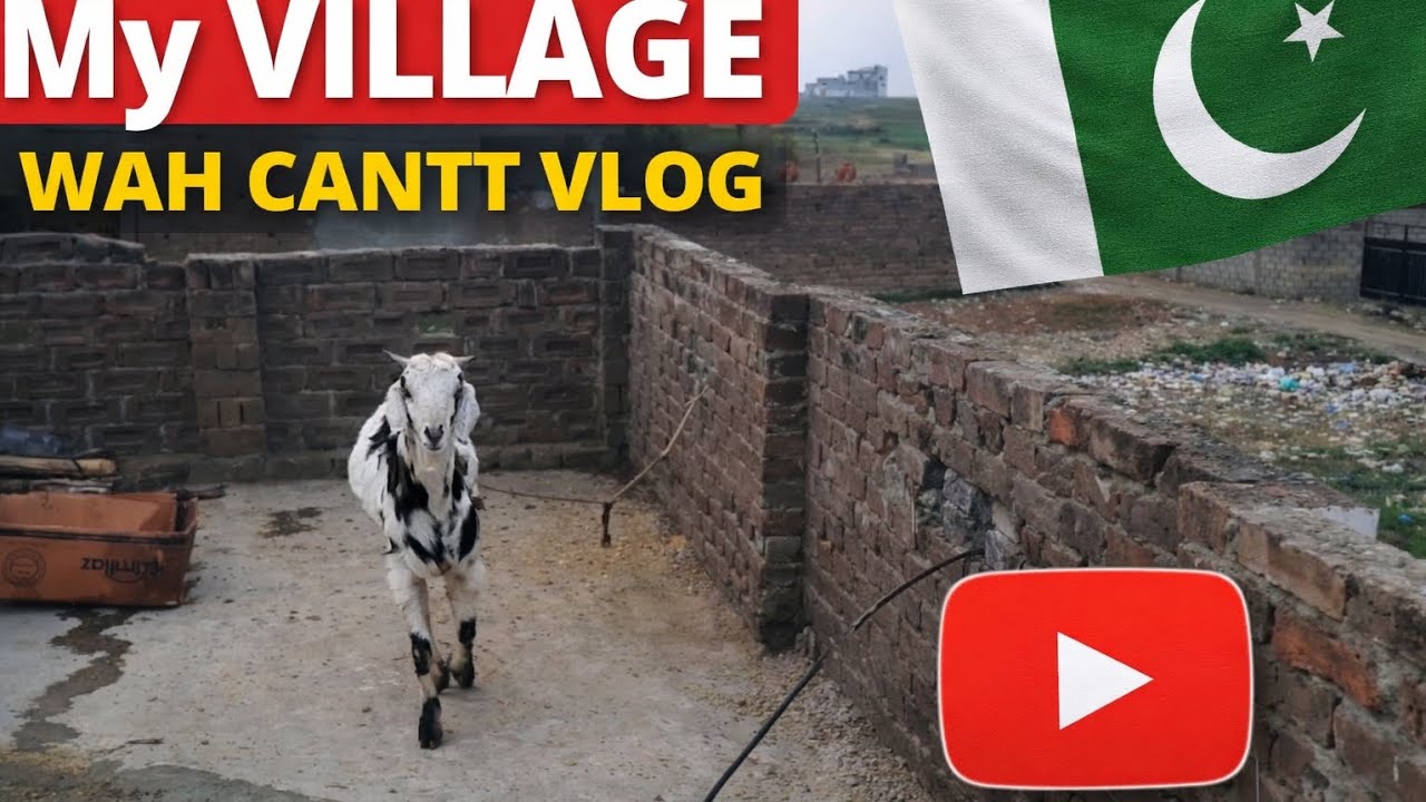 Sagri,Pakistan 🇵🇰 | Wah Cantt Vlog | Village life