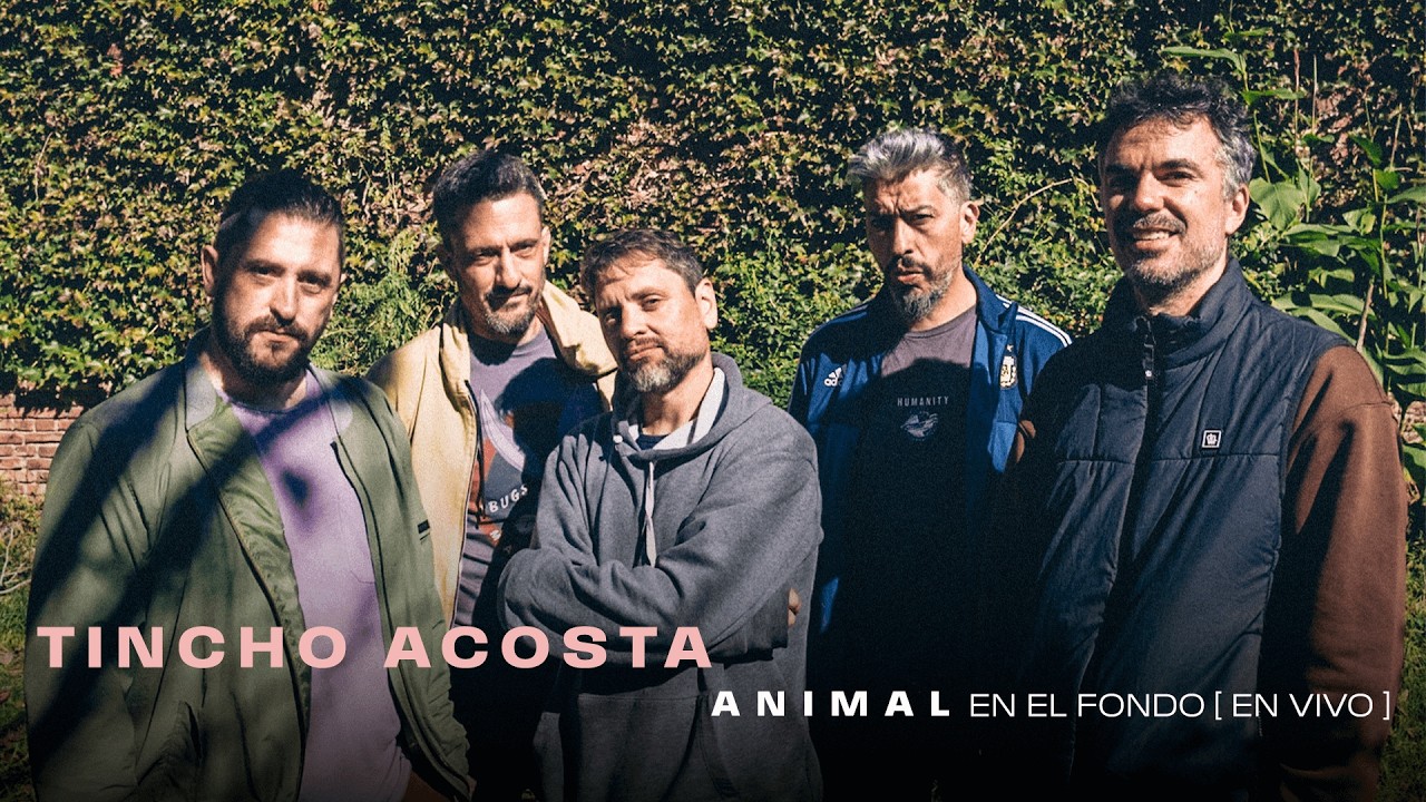 Tincho Acosta | Animal | En El Fondo [en vivo]