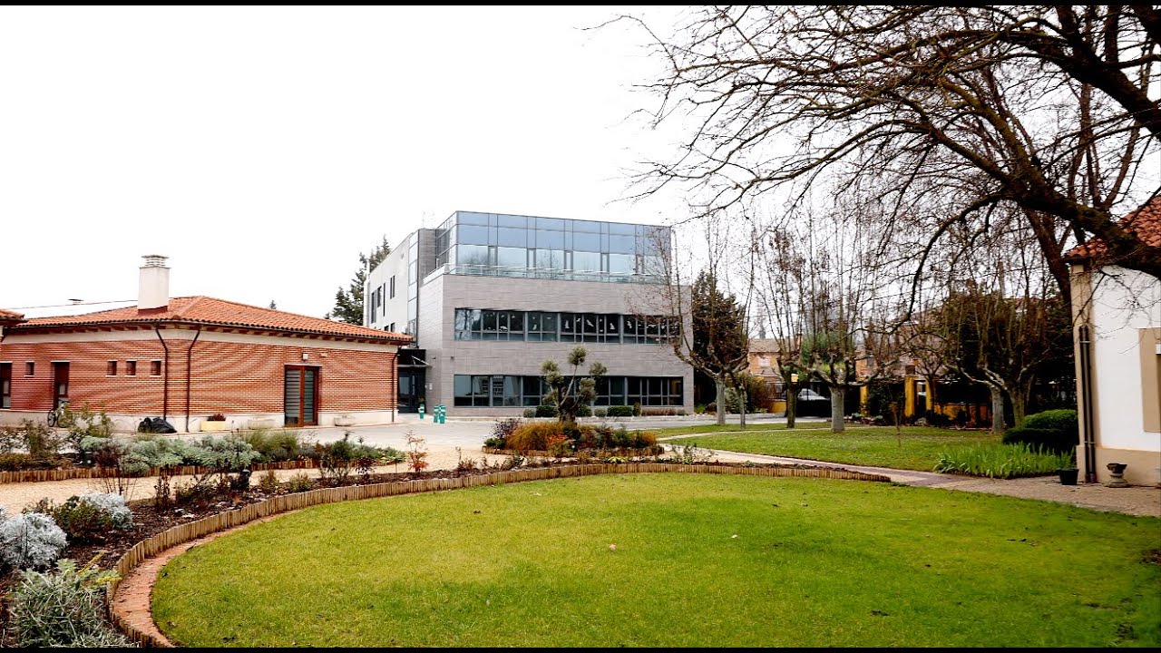 FUNDACIÓN PERSONAS VALLADOLID:  Red de Centros y Servicios