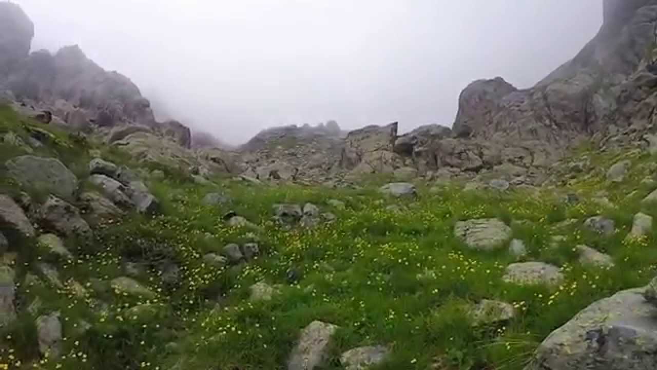 Balme