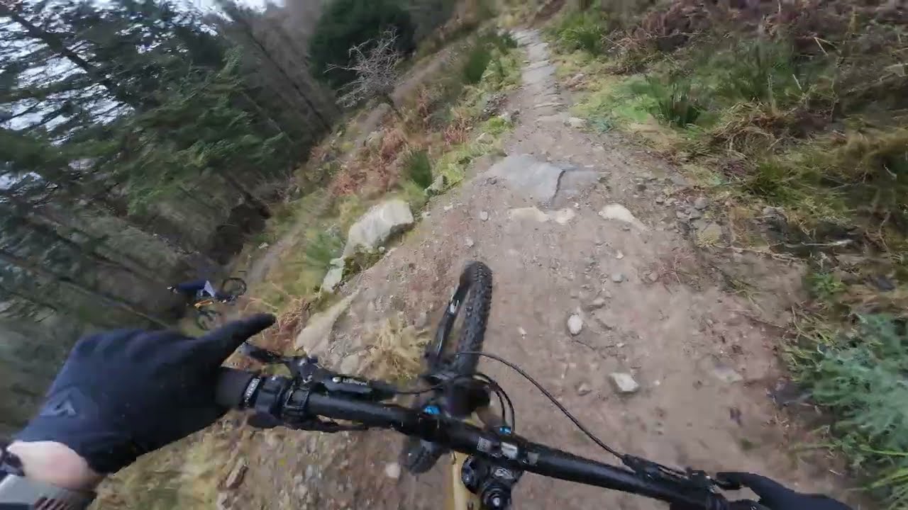 Dooless - Coolaney MTB 