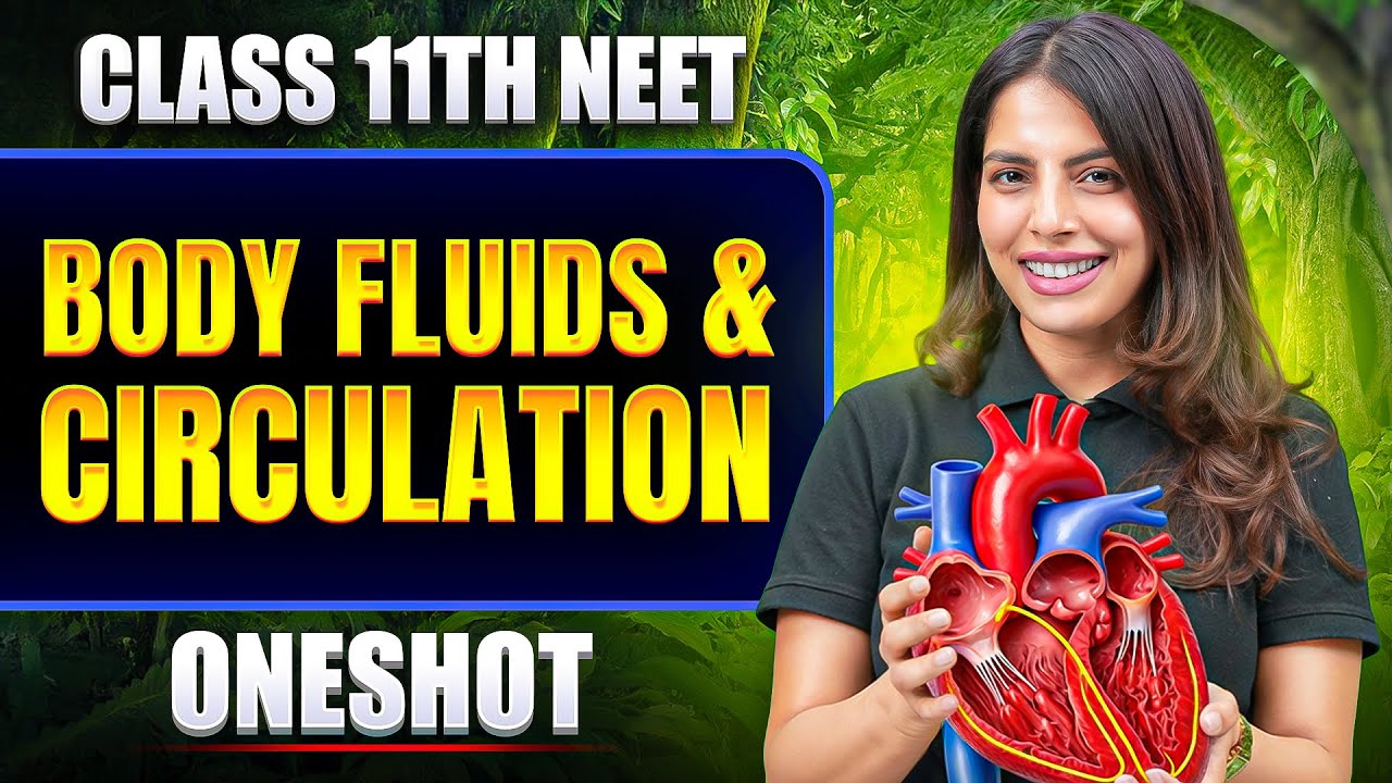 Body Fluids & Circulation in ONE SHOT | All Concept & PYQ | Basic to Advance | Class 11 NEET