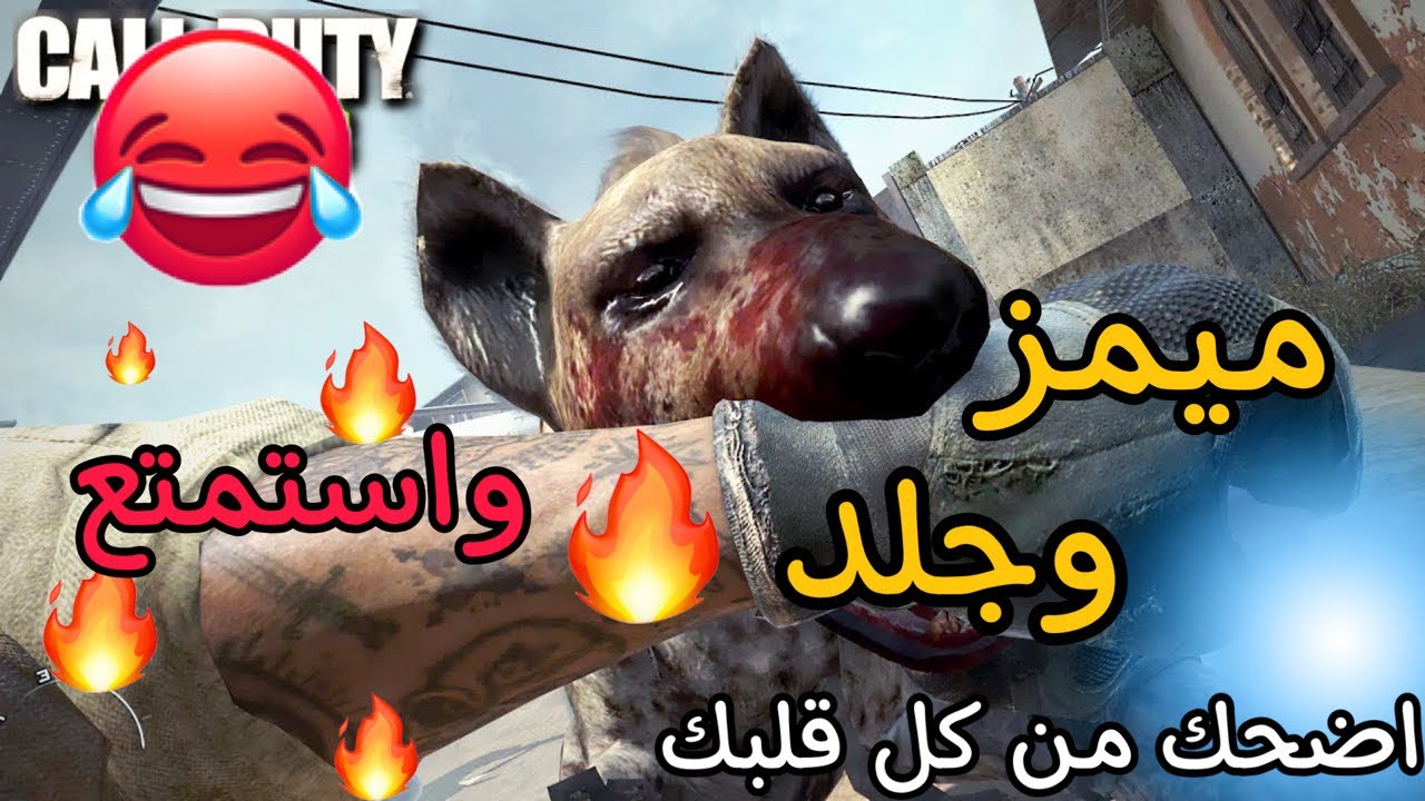 كول اف ديوتي | اضحك واستمتع طور الجماعي 😂🔥| call of duty