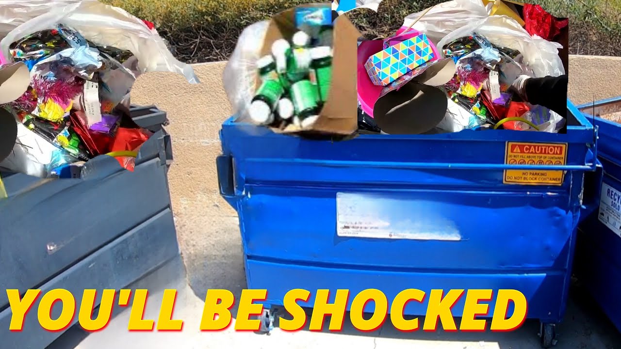 YOU'LL BE SHOCKED BY WHAT WAS IN THESE DUMPSTERS FULL OF TOYS!