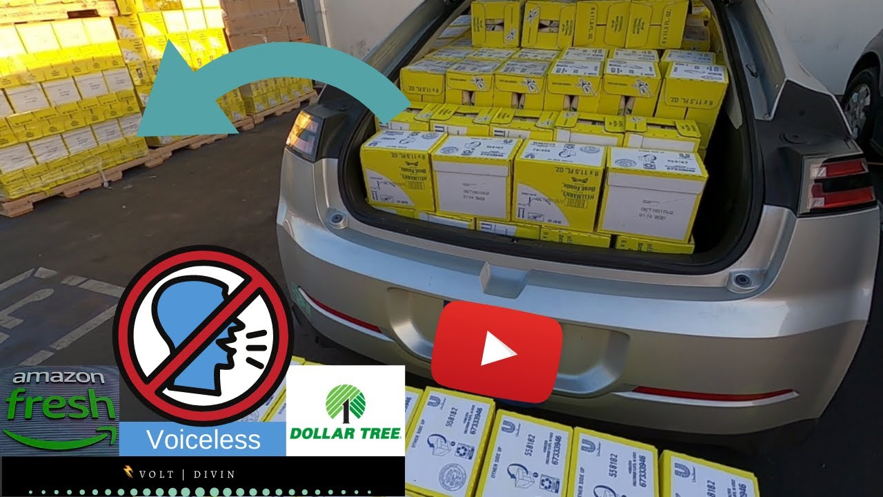 ASMR Voiceless Dumpster Diving Amazon Fresh, Dollar Tree, There Were Thousands! S1E33V80