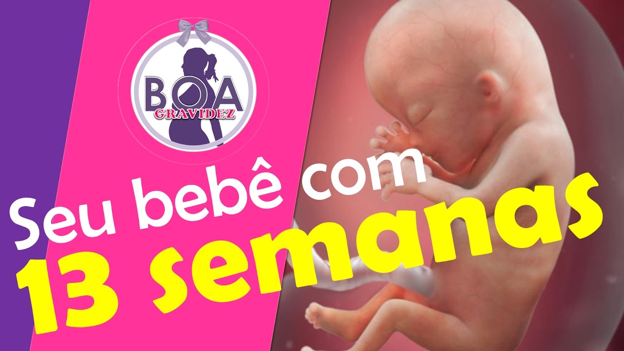 O seu Bebê com 13 semanas de Gestação