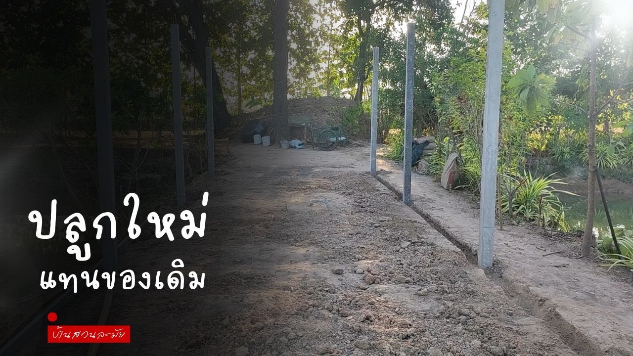 เริ่มปลูกบ้านหลังเล็กแทนกระท่อม