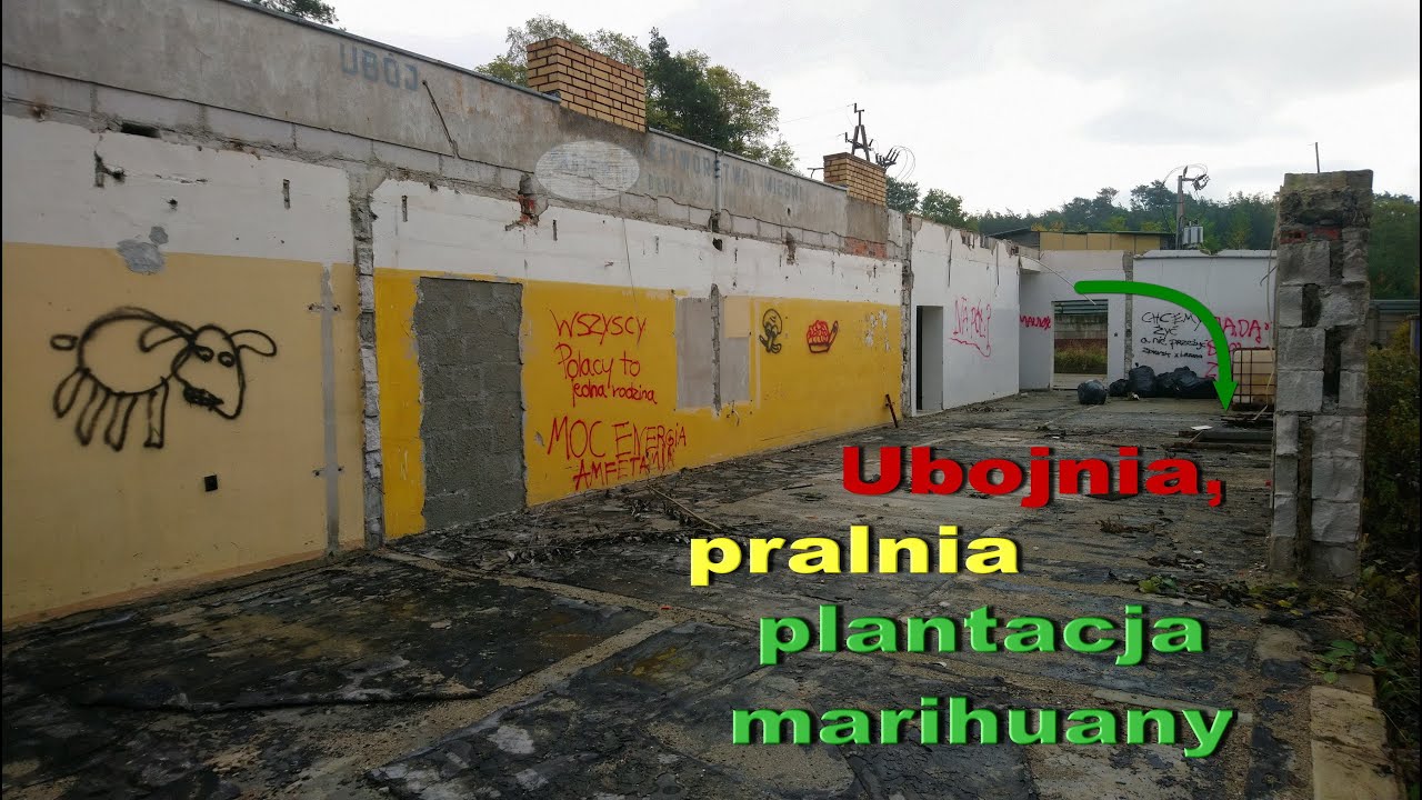 Urbex - Ubojnia, pralnia, plantacja marihuany