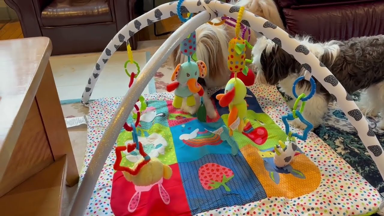 Posey Playing With The Big Dogs!