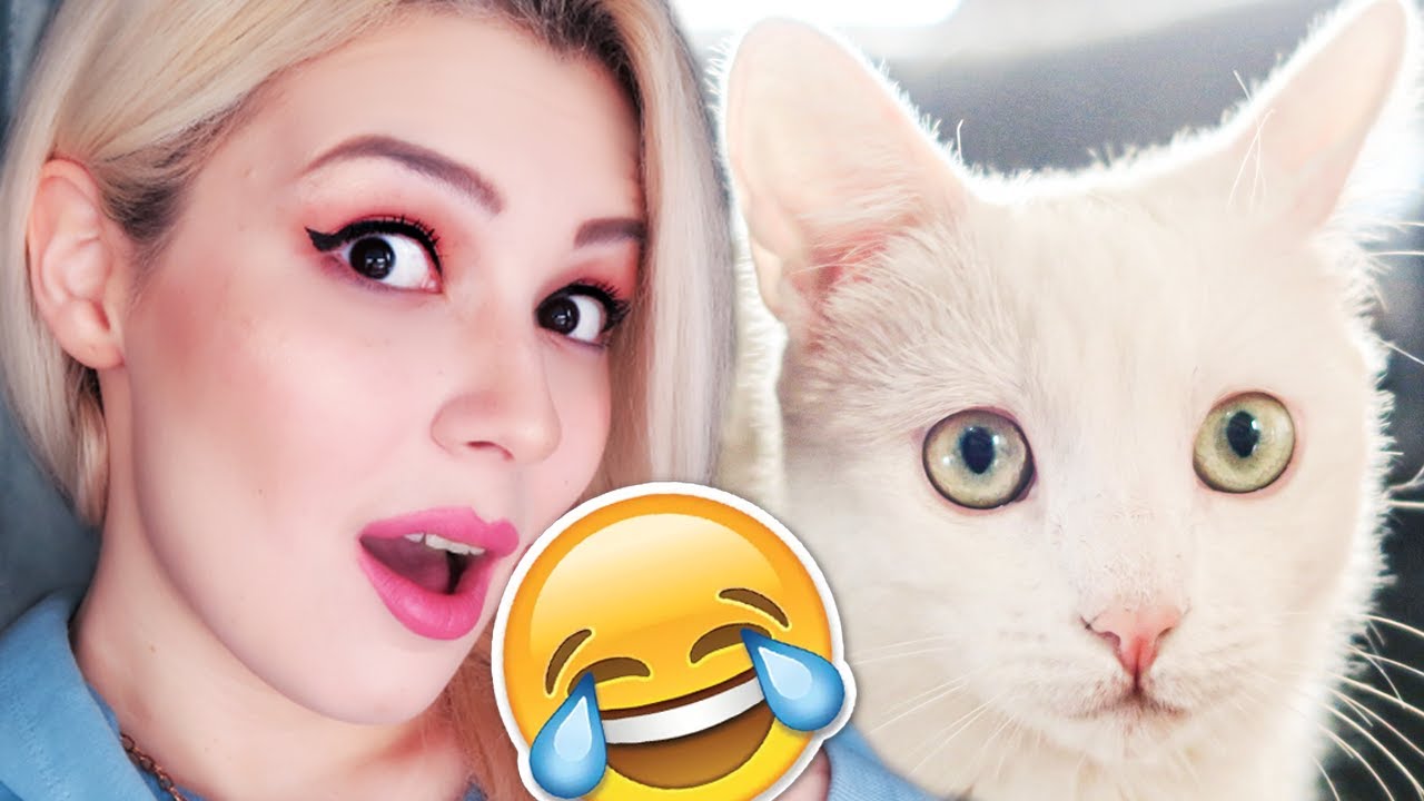 KEDİLERİM İLE KOMİK VE EĞLENCELİ BİR GÜN VLOG !