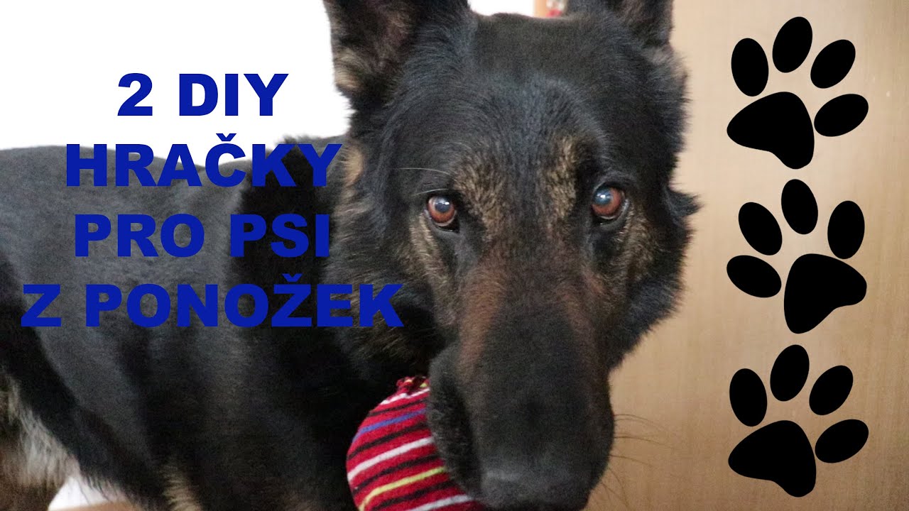 2 diy hračky pro psy z ponožek