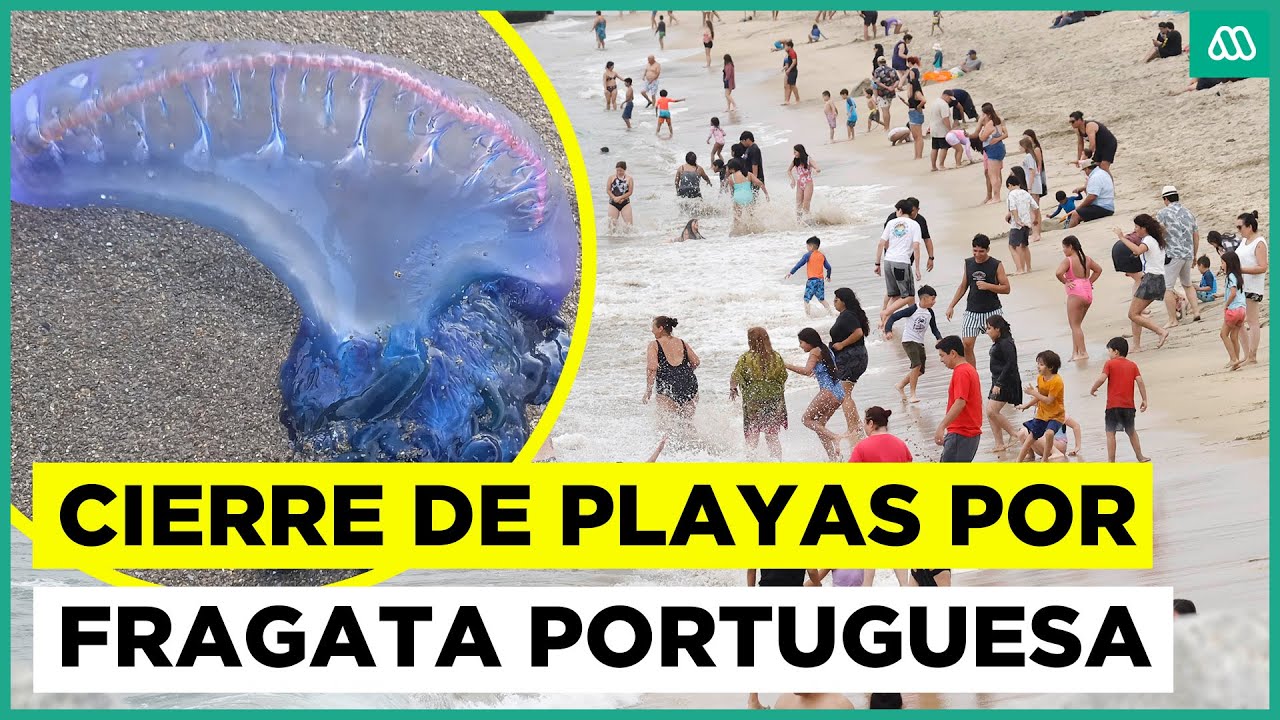 Fragata portuguesa en litoral central: Playas se mantienen cerradas por su presencia