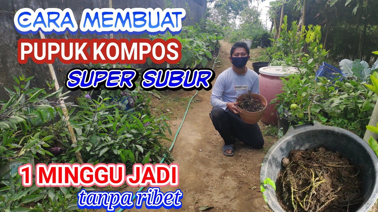 cara membuat pupuk kompos super subur 1 Minggu jadi dengan bahan sayur sisa, daun tua, dan rumput