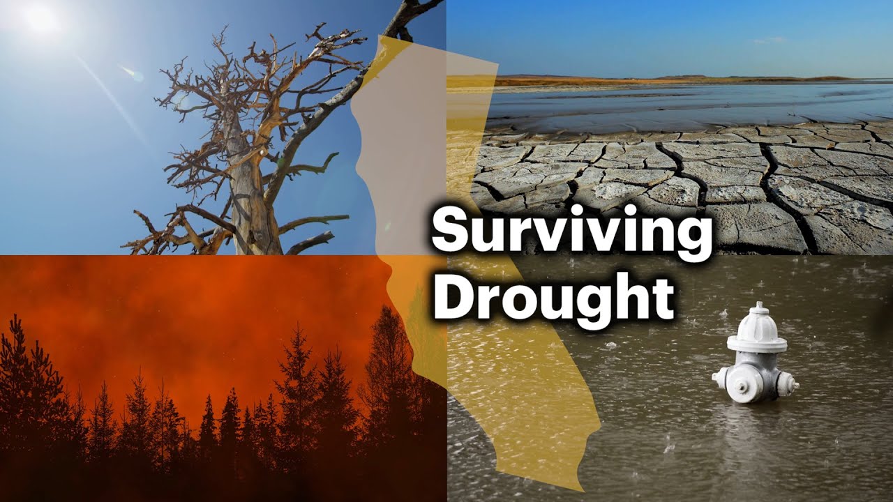 How California's Droughts Lead to Other Disasters