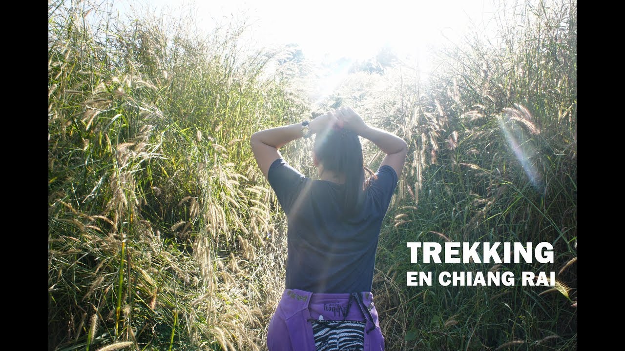 🥾 Trekking por aldeas tribales en el norte de Tailandia 🌿✨