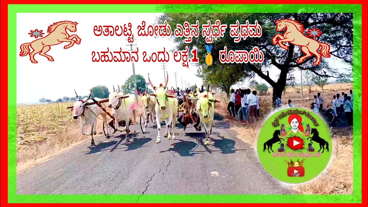 👑ಅತಾಲಟ್ಟಿ 1ಲಕ್ಷ ಮೈದಾನ ಜೋಡು ಎತ್ತಿನ ಸ್ಪರ್ಧೆ💥 ಹನುಮಂತ್ ಅತಾಲಟ್ಟಿ ಪ್ರಥಮ 🥇👑🧨