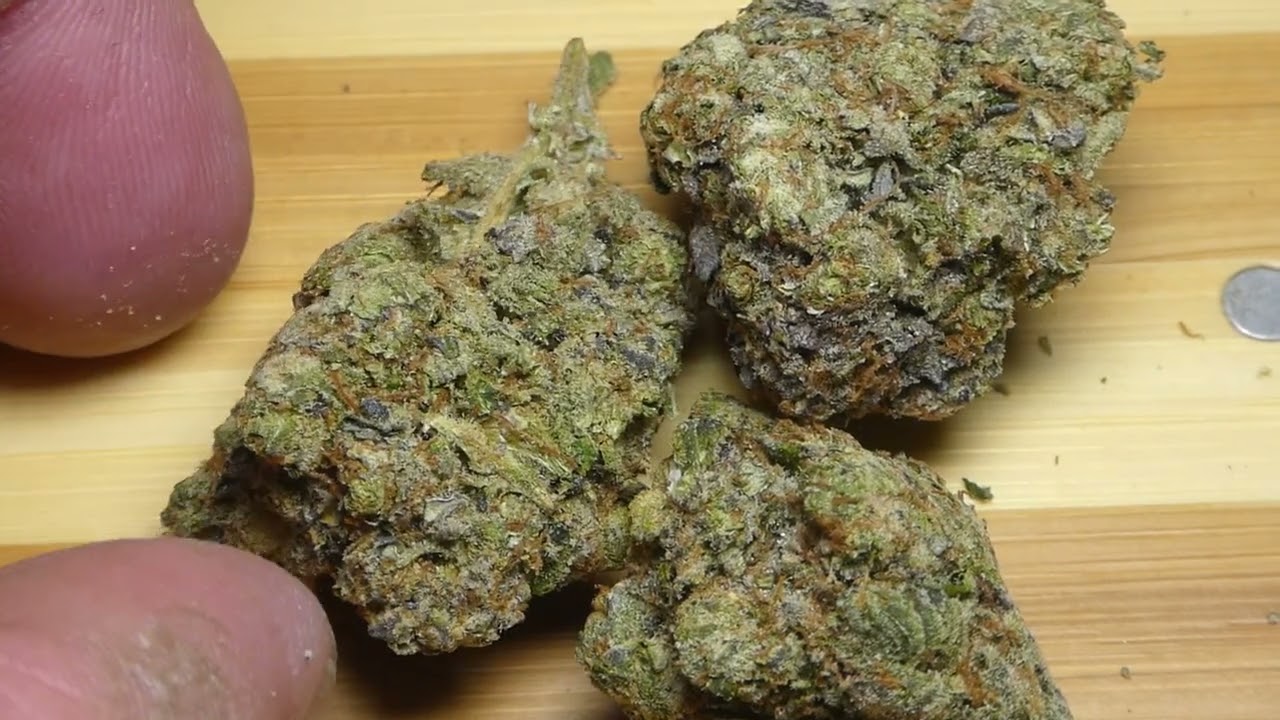 Tuna Kush fr Bud Empire