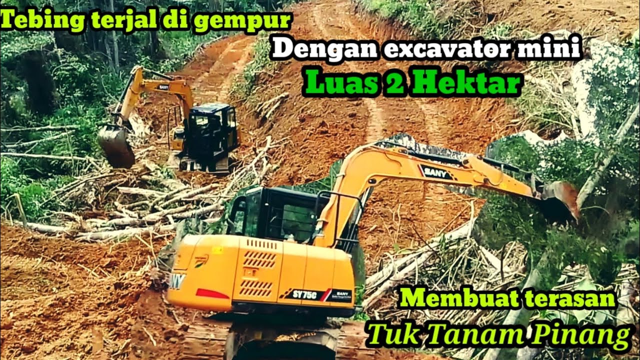 Lokasi exstrim begini cara excavator Sany meneras bukit terjal tuk tanam pinang