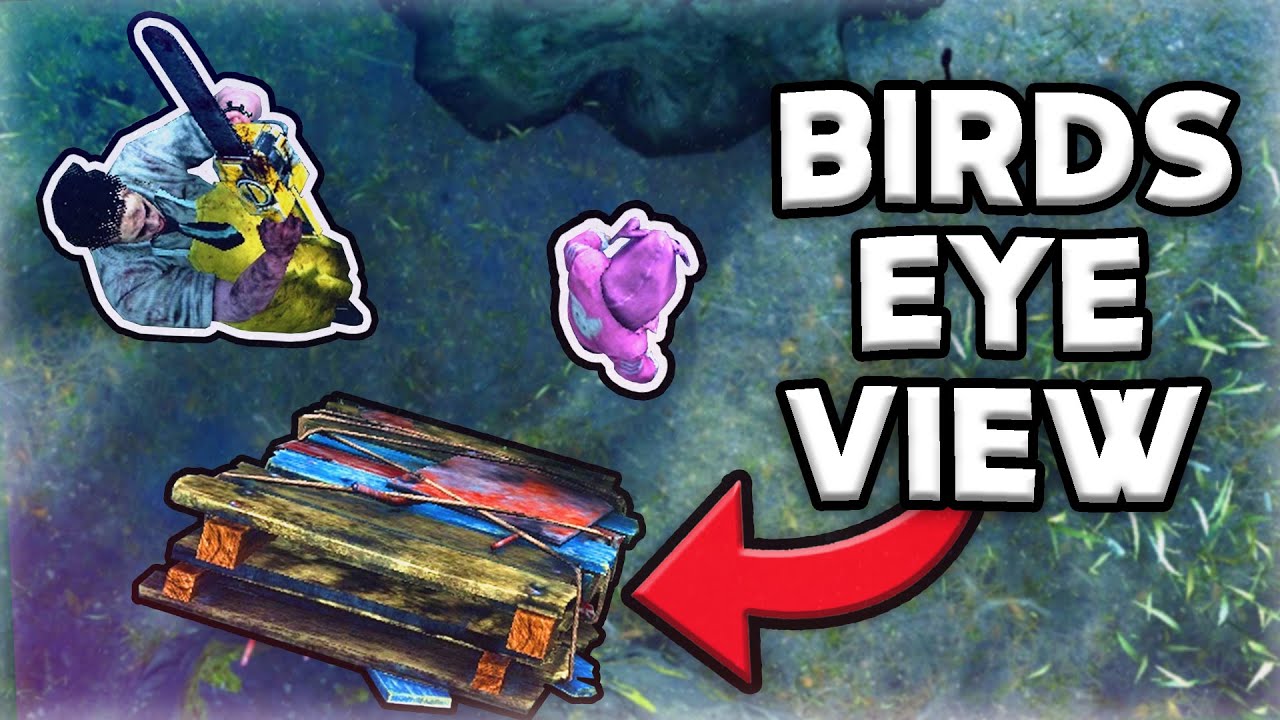 Dead by Daylight but It's A Bird's Eye View..