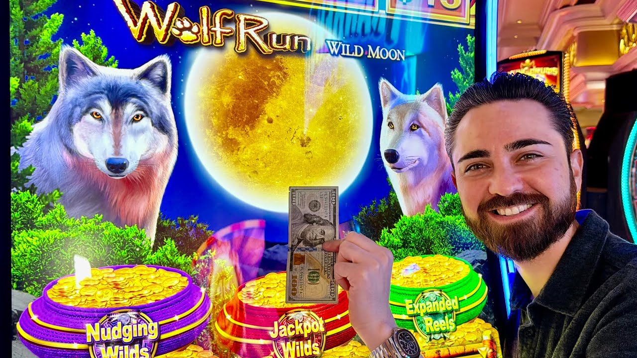 Things Got WILD On This Wolf Run Wild Moon!