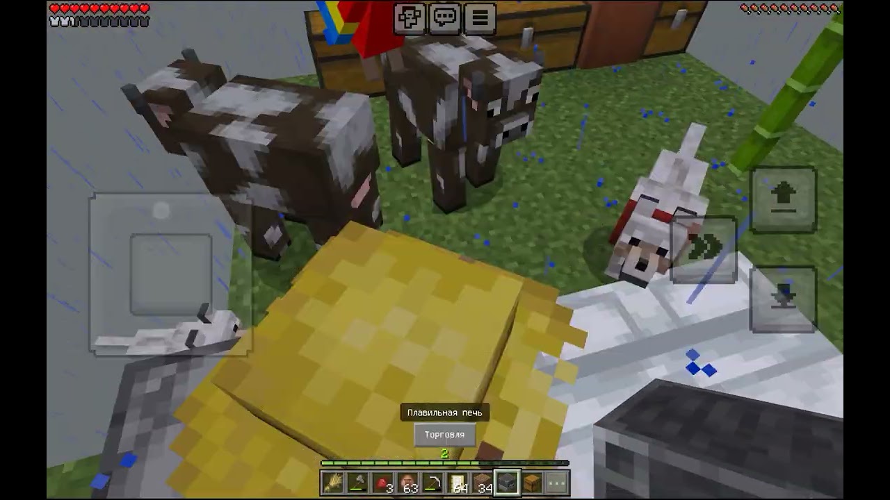 Minecraft 
