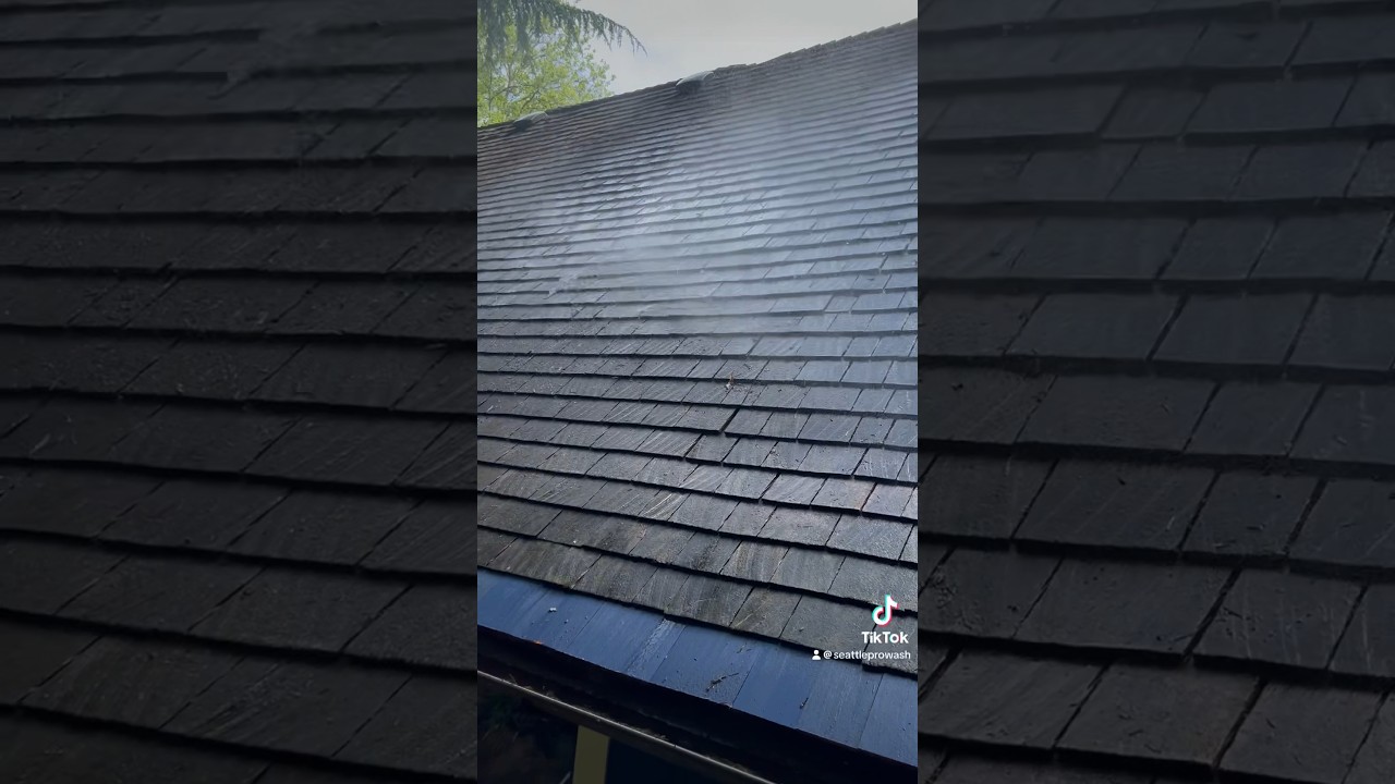 Cleaning off a Cedar Shake Roof | Seattle ProWash #roofwashing #roofcleaning