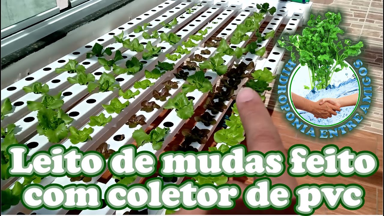 Hidroponia Guriri l Leito de Mudas feito com coletor de PVC usado