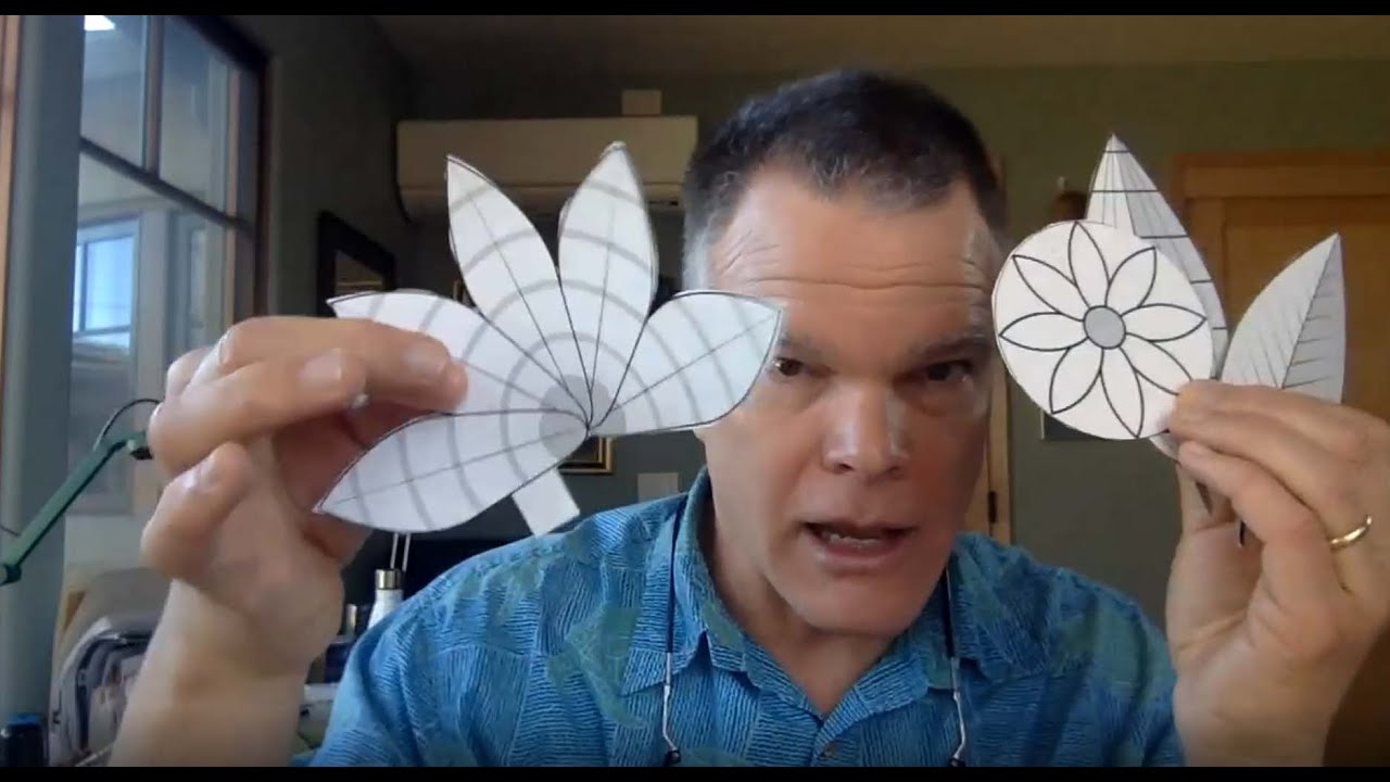Learn to Draw Plants with John Muir Laws