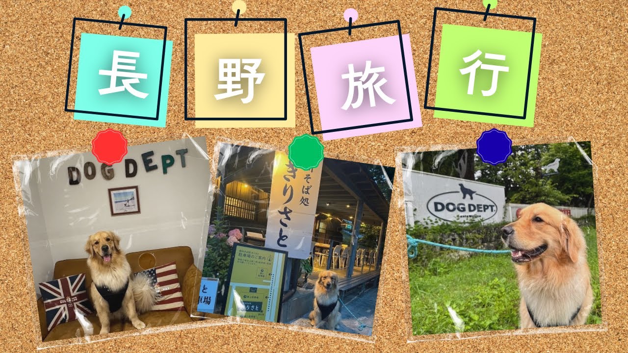 #49 大型犬と行く長野旅行～ 軽井沢・安曇野（穏やか編）～