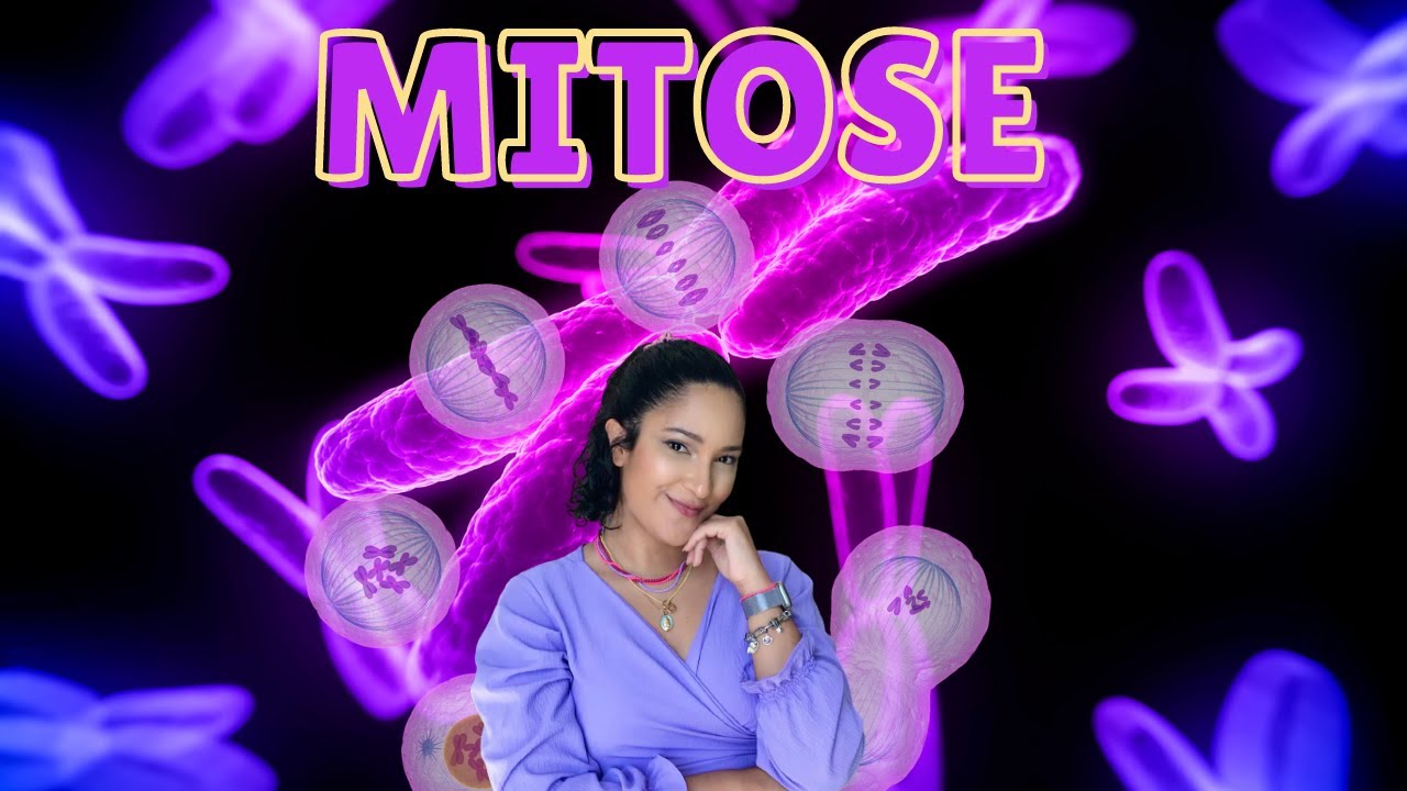 MITOSE - DIVIS&Atilde;O CELULAR - (Pr&oacute;fase, Met&aacute;fase, An&aacute;fase e Tel&oacute;fase) | Tha&iacute;s Magalh&atilde;es