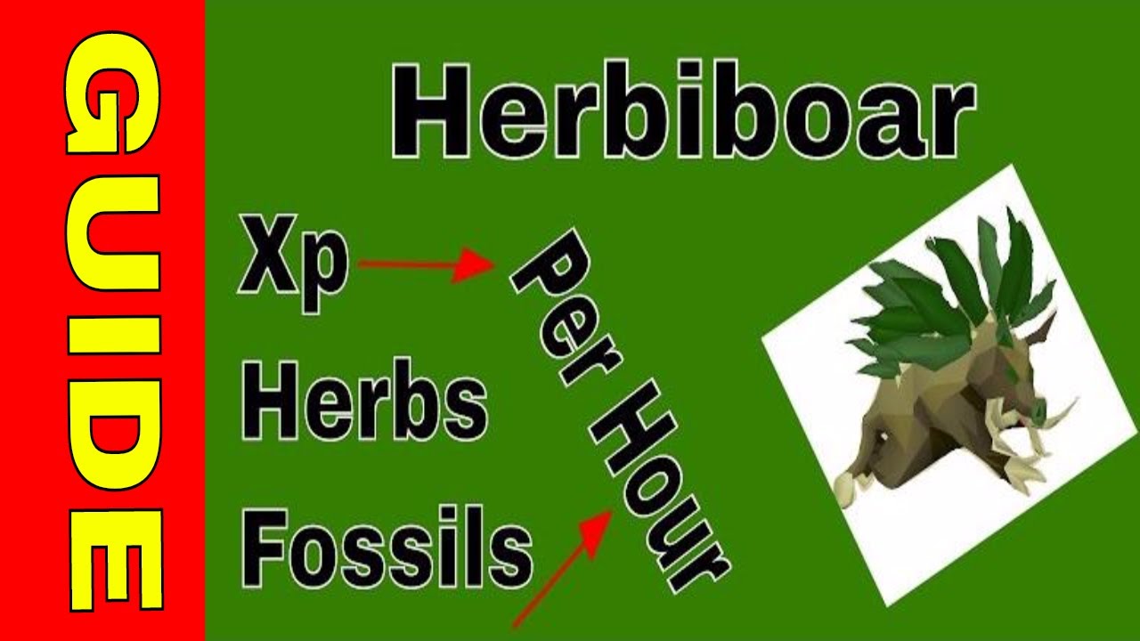 OSRS Ironman Quick Guide to Herbiboar | xp+herbs+fossils+numulite per hour