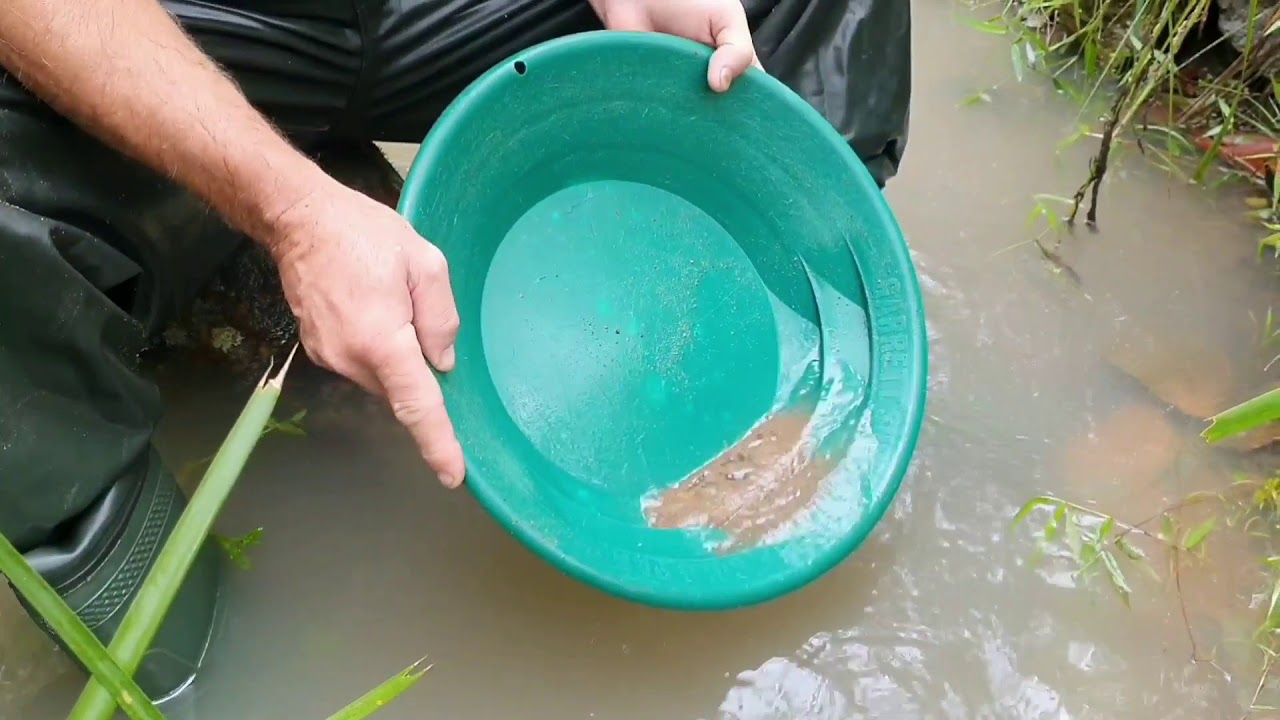 Northern NSW Gold