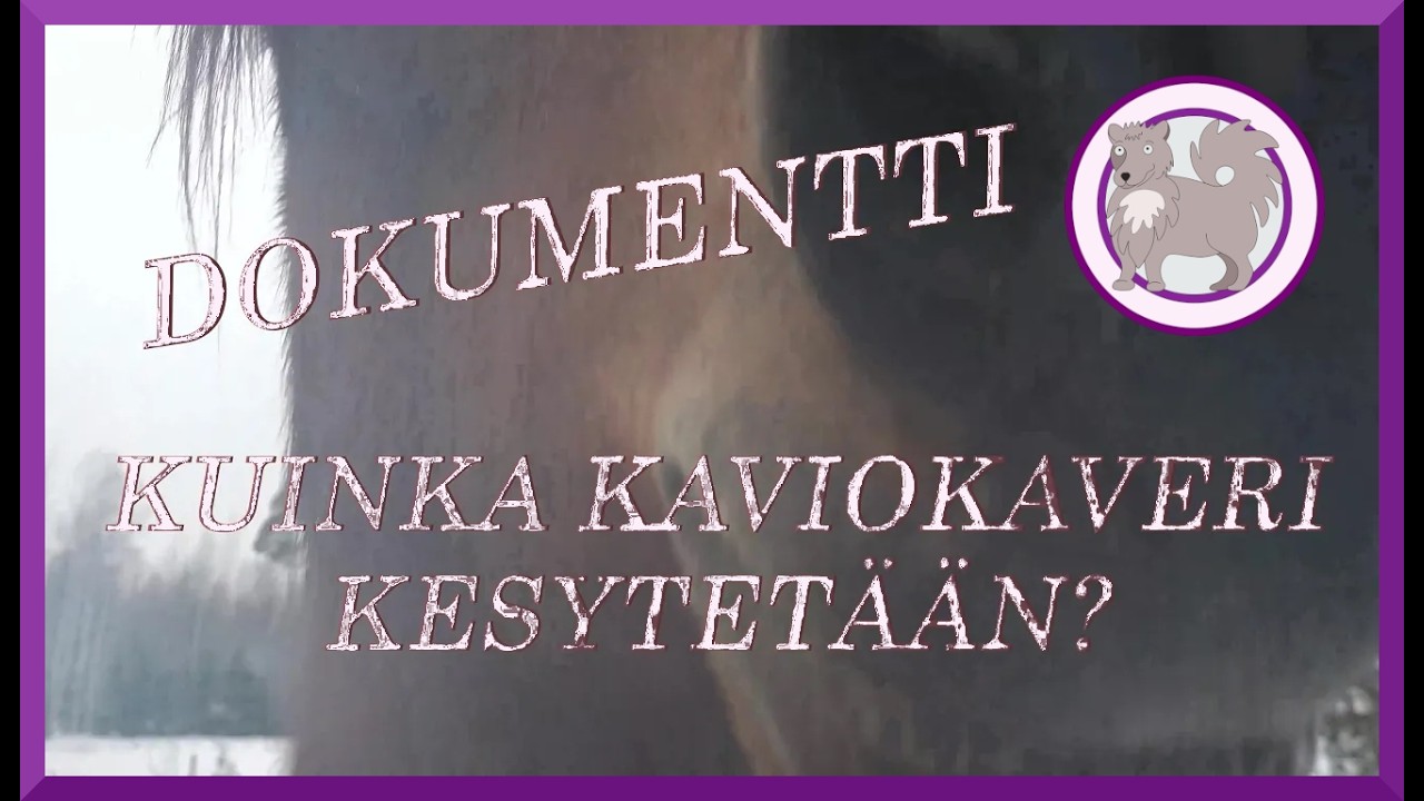 Dokumentti - Kuinka kaviokaveri kesytetään?