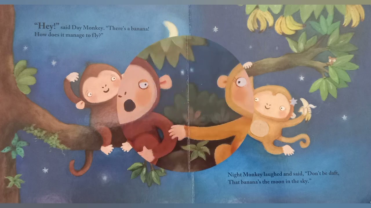 🌙 Night Monkey Day Monkey by Julia Donaldson and Lucy Richards. Book Reading 🌙