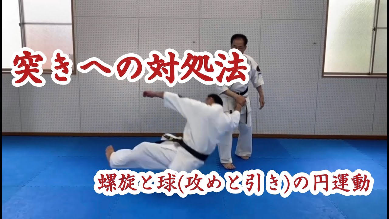 突きへの対処法 　Response to punch by Aiki technique