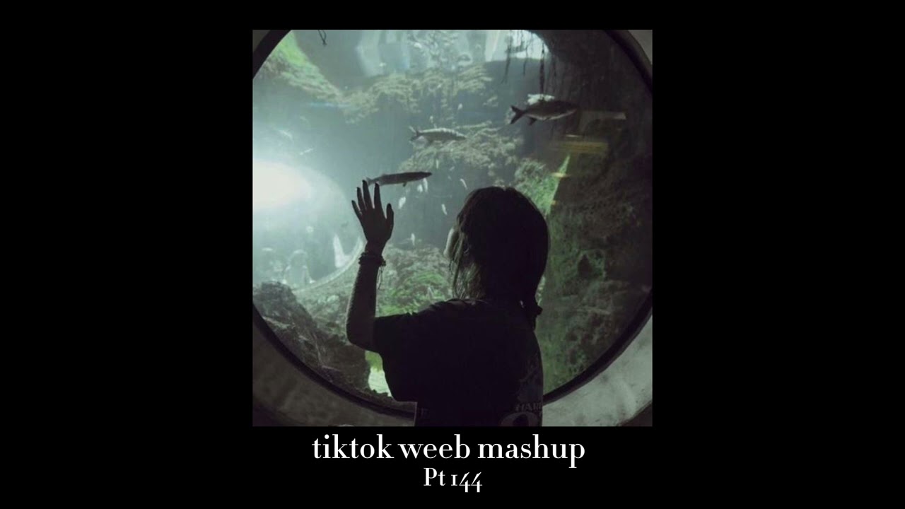 tiktok weeb mashup 144 + timestamps