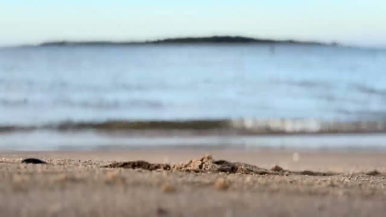 Sonido de Olas del Mar 🌊 | Relajación Profunda, Meditación y Sueño Reparador | 4K Alta Calidad