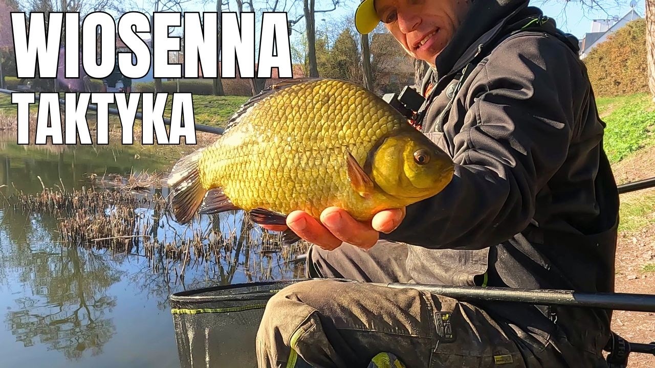 WIOSENNE ELDORADO!  Moja taktyka!