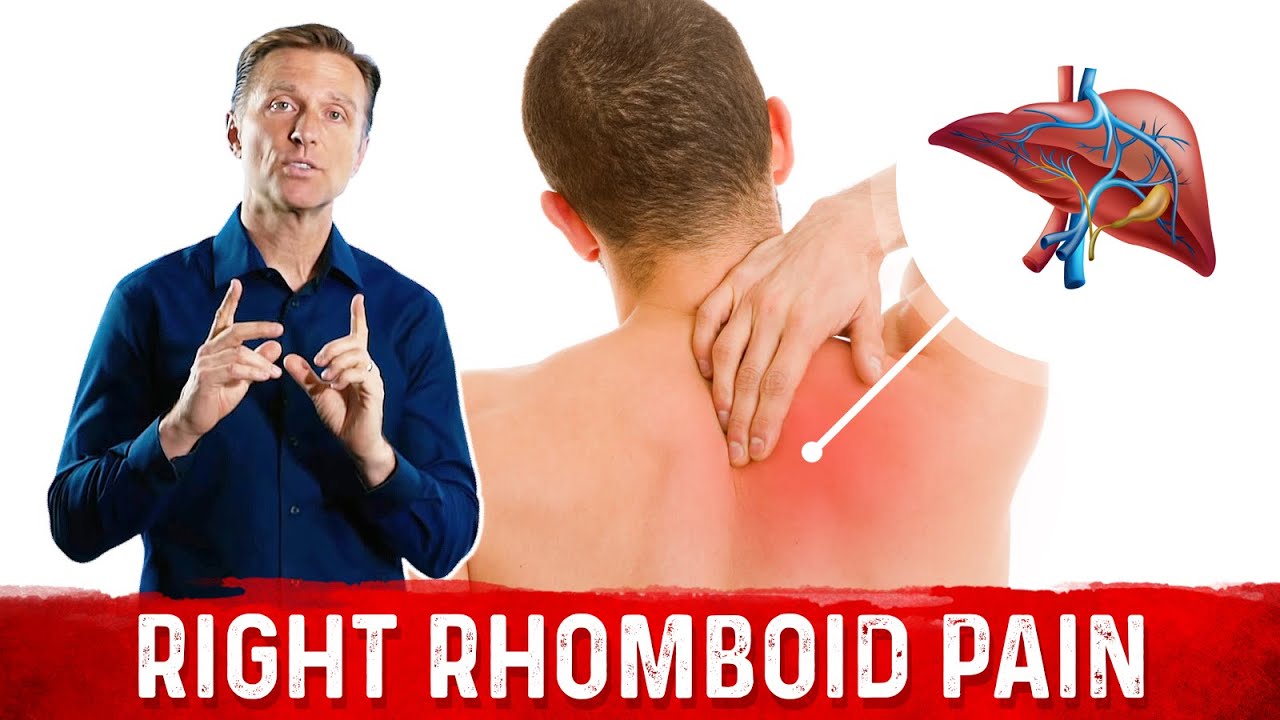 Your Liver is Triggering Your Right Shoulder Blade Pain &ndash; Liver Problems & Shoulder Pain &ndash; Dr.Berg