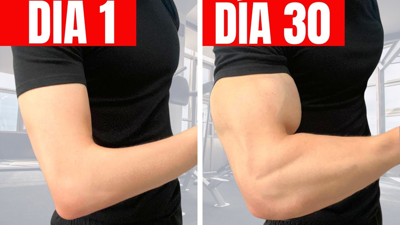 ESTO Le Pasa A Tu CUERPO Si Entrenas BRAZOS TODOS Los Días