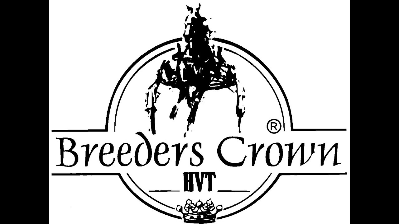 Orlando Jet - seine Breeders Crown Läufe