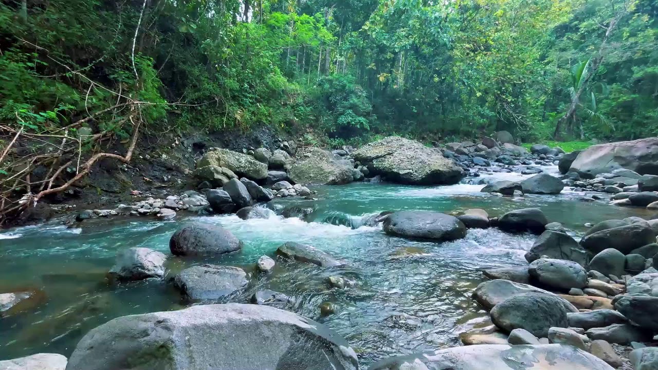 Gentle River Sounds for Sleeping, River Sounds for relaxation, Water Sounds for stress relief
