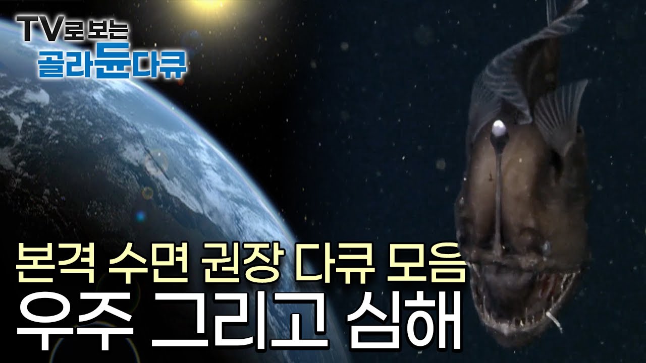 [수면다큐] 편집자도 편집하다 잠든, 본격 수면 권장 다큐 모아보기｜자기 전 틀어놓는 영상｜우주와 심해｜#골라듄다큐