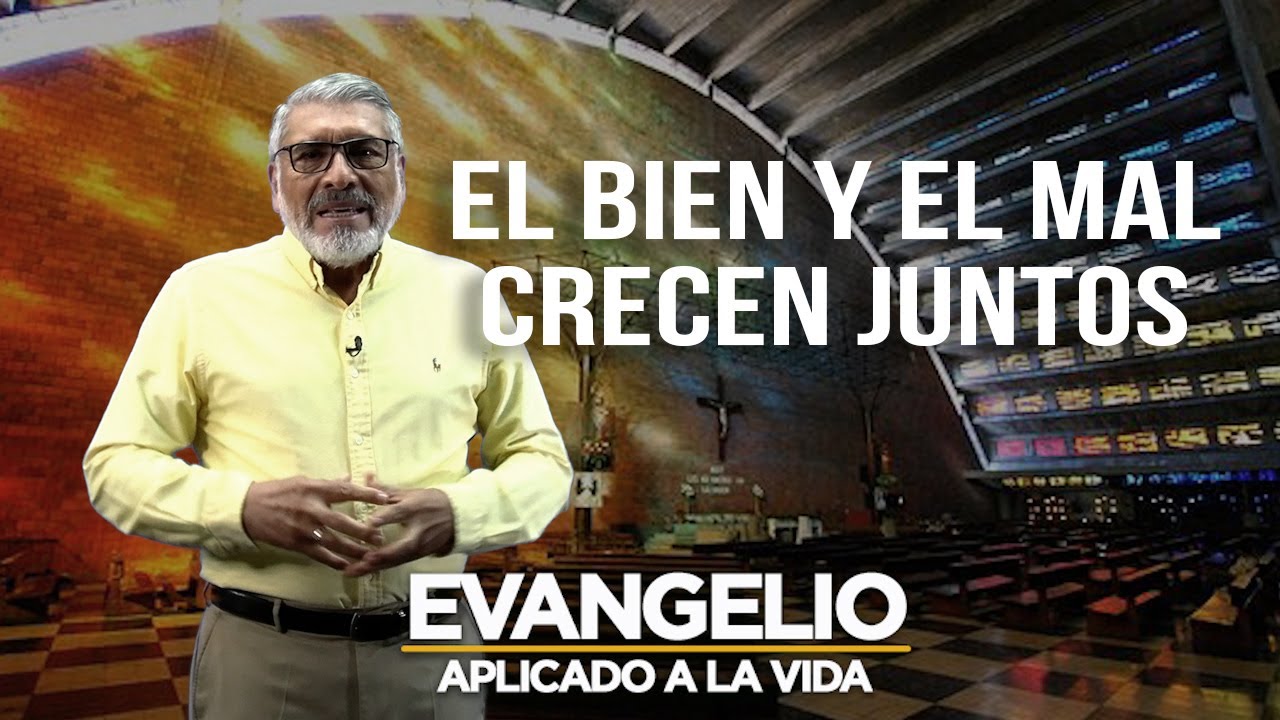 EL BIEN Y EL MAL CRECEN JUNTOS  | Evangelio Aplicado (SAN MATEO 13, 24-43) - SALVADOR GOMEZ