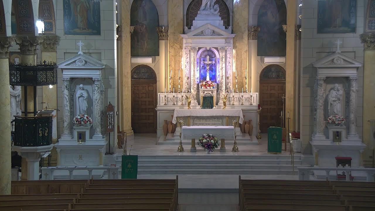 11AM - La Santa Misa - February 8, 2026
