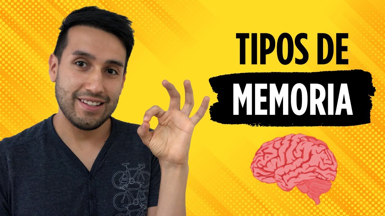 🧠 TIPOS DE MEMORIA  👉 ¿Cuáles son los tipos de memoria del ser humano? #02
